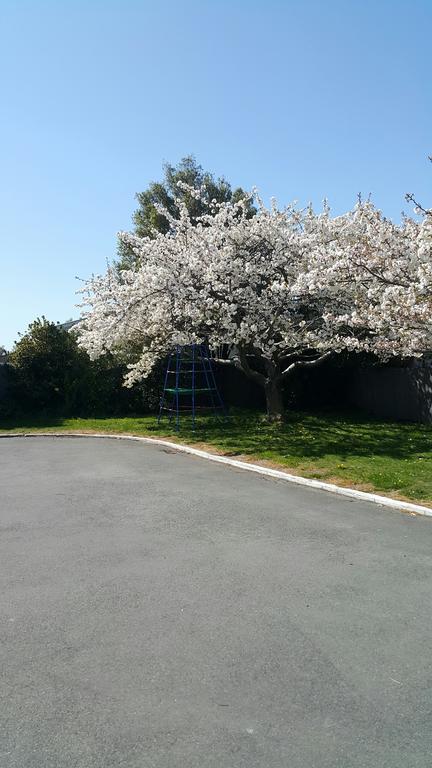 Lilybrook Motel Rangiora Extérieur photo